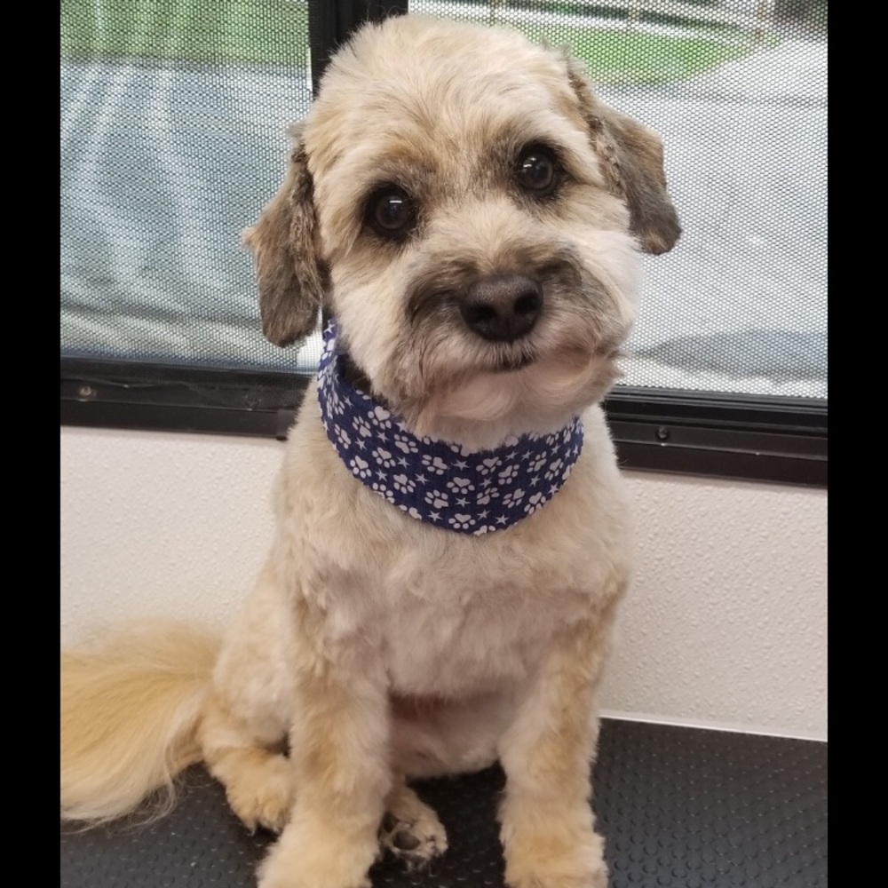 Meet your Posher, Tina